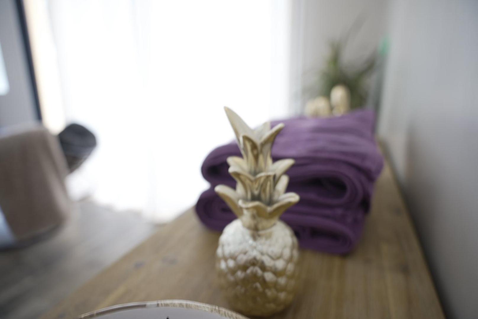Atoumo Appartement Love Jacuzzi & Jardin Disneyland Paris Quincy-Voisins Rum bild